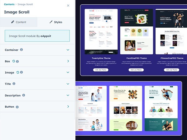 Customization Options for style